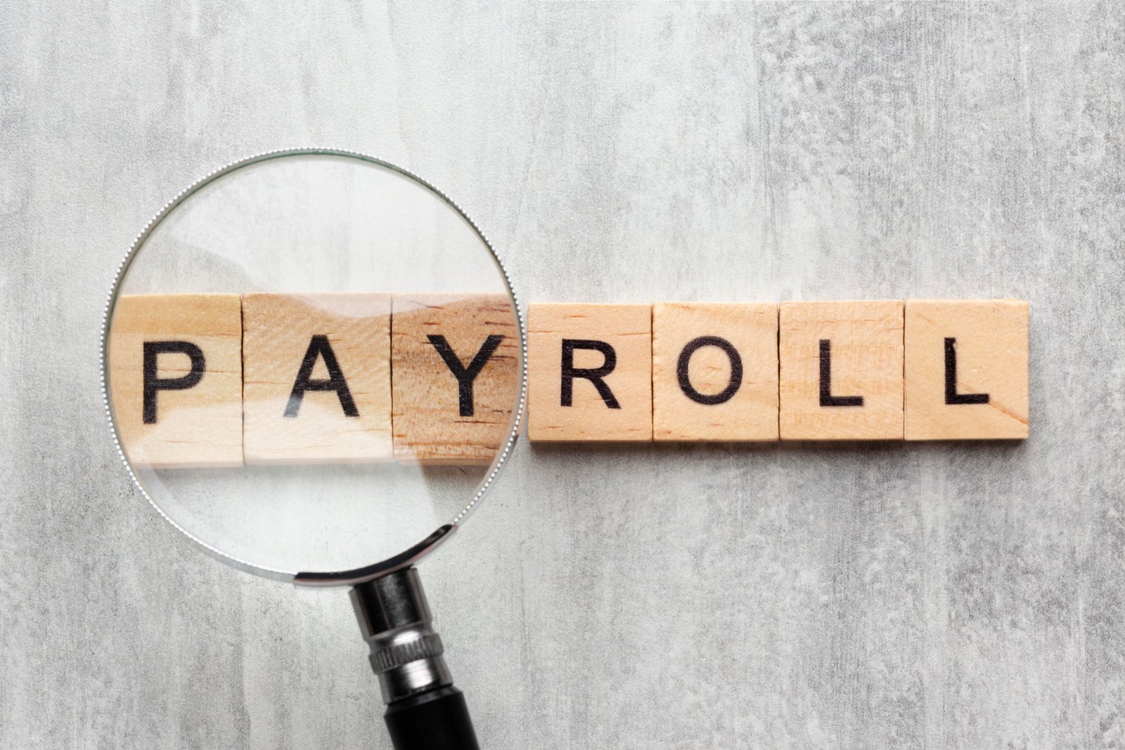 Payroll Management Services